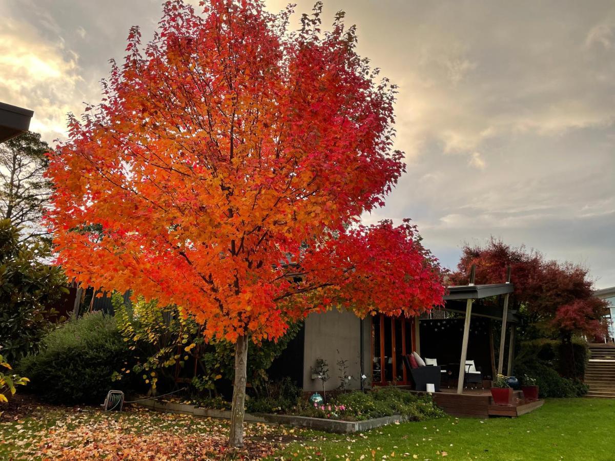 The Studio - Yarra Valley Yarra Glen Exteriör bild