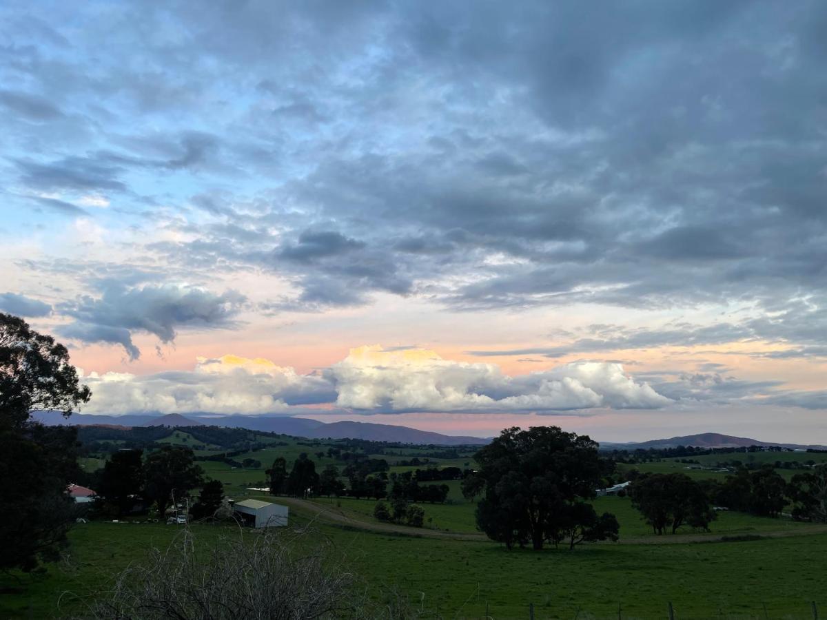 The Studio - Yarra Valley Yarra Glen Exteriör bild
