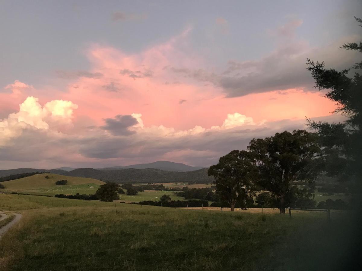 The Studio - Yarra Valley Yarra Glen Exteriör bild