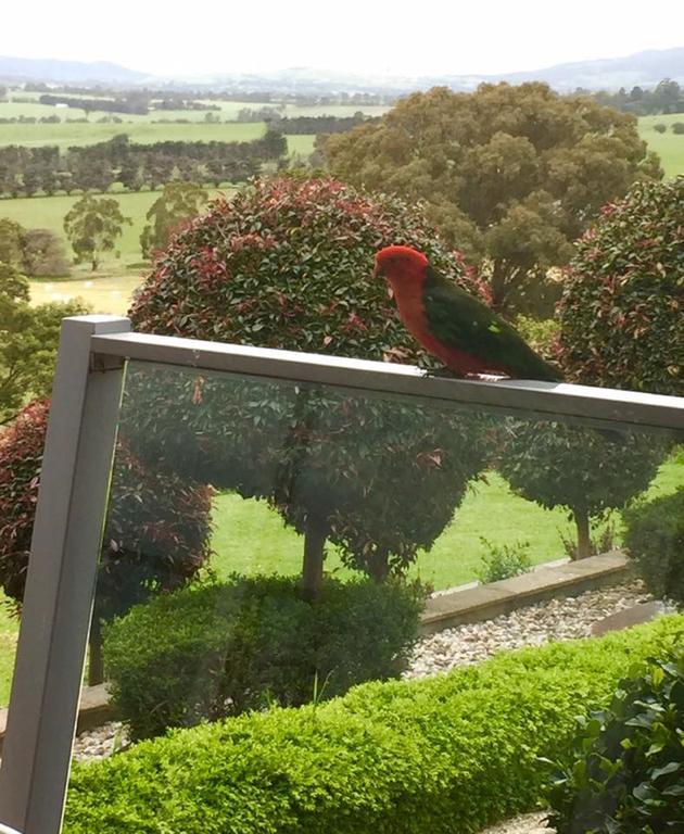The Studio - Yarra Valley Yarra Glen Exteriör bild