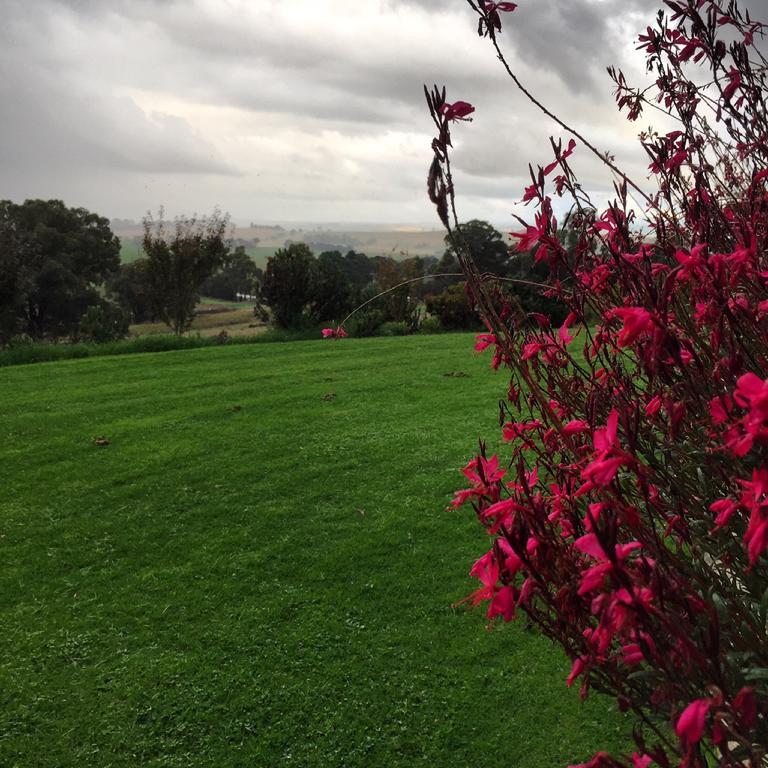 The Studio - Yarra Valley Yarra Glen Exteriör bild