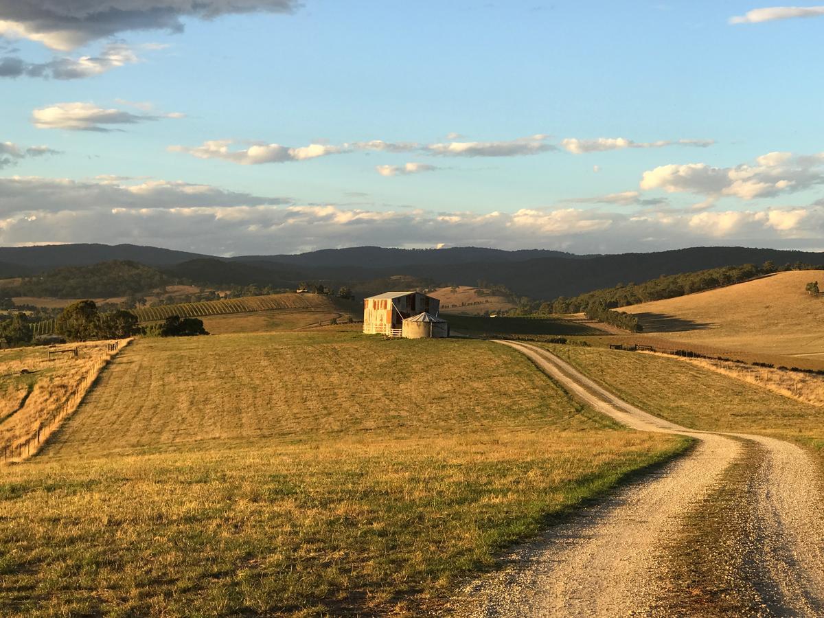 The Studio - Yarra Valley Yarra Glen Exteriör bild